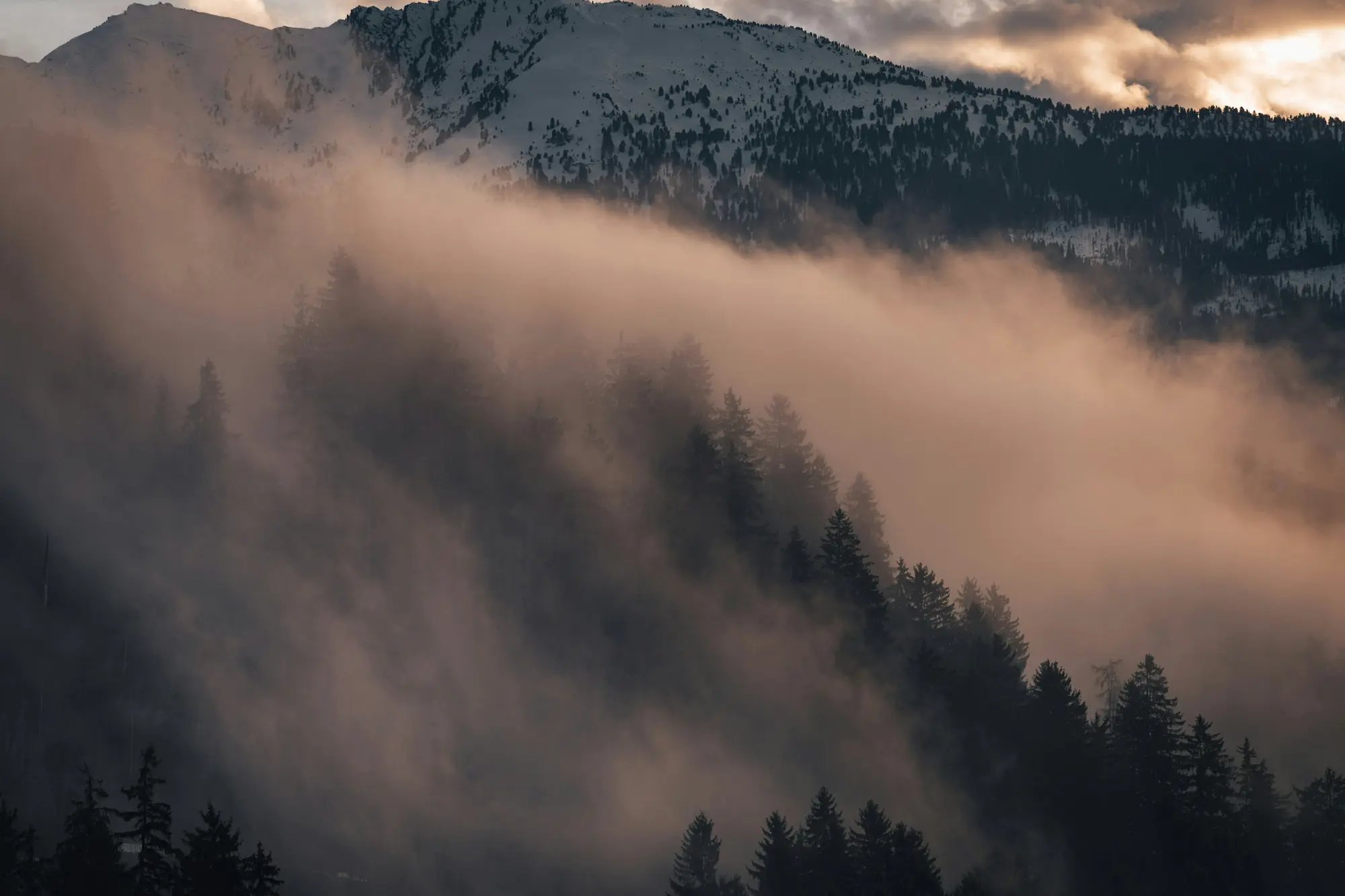 Fog rolling over a forested mountain slope