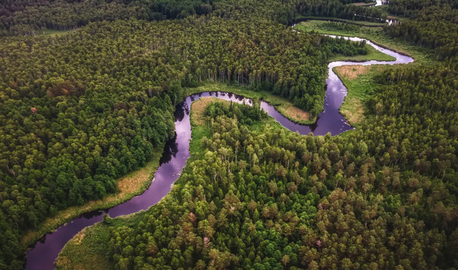 A river winding through a dense forest, seen from the air
